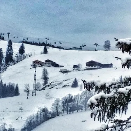 Moni Xxl 66m2 Lejlighed *