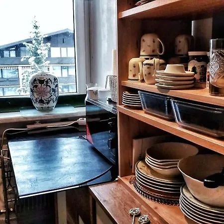 Lejlighed Moni Xxl 66m2 Kaprun