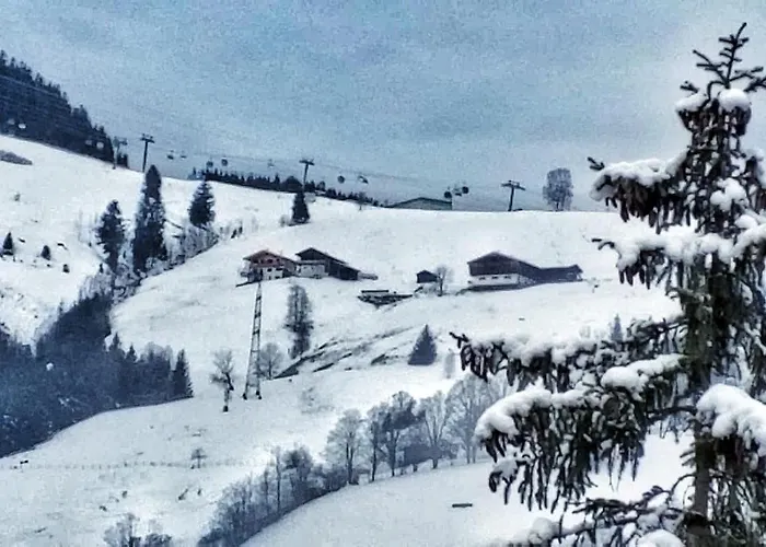 Moni Xxl 66m2 شقة *